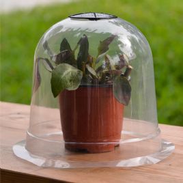 园艺植物用透明塑料罩 LJ-3008园艺植物用透明塑料罩 LJ-3008